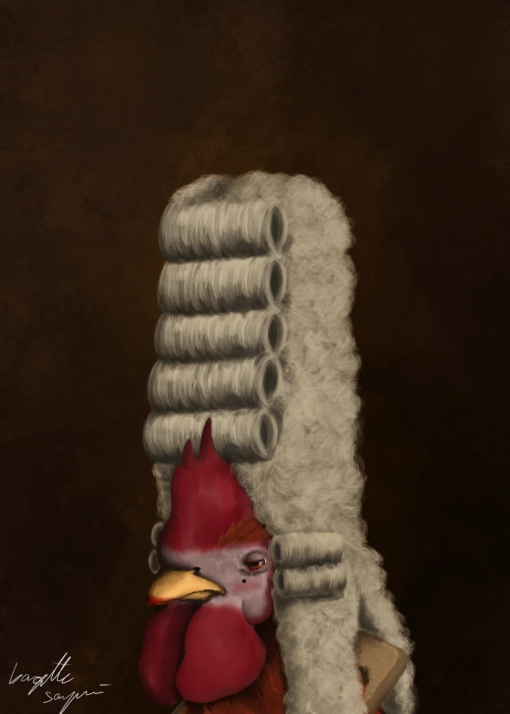 Tamás által feltöltött kép