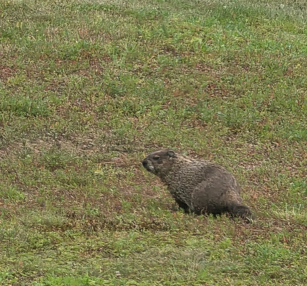 Image uploaded by Alex