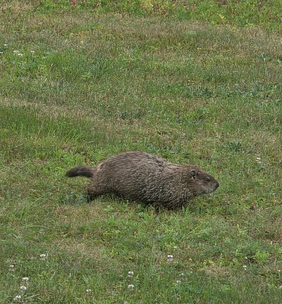 Image uploaded by Alex