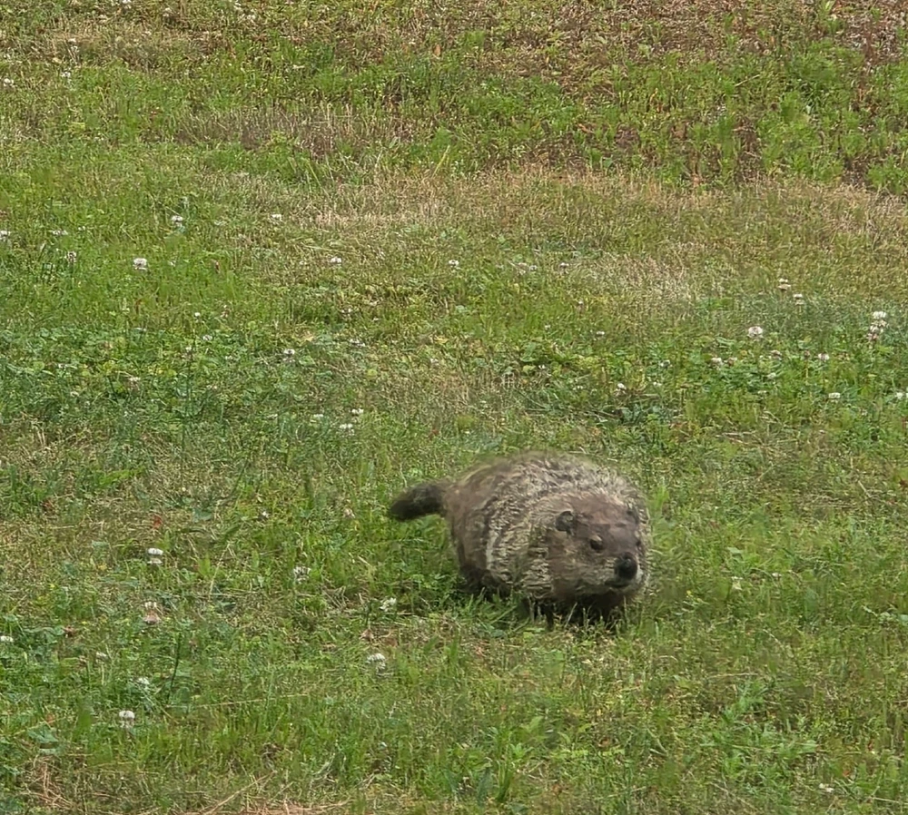 Image uploaded by Alex