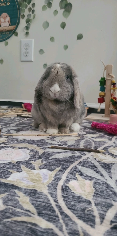 GIF uploaded by Mick