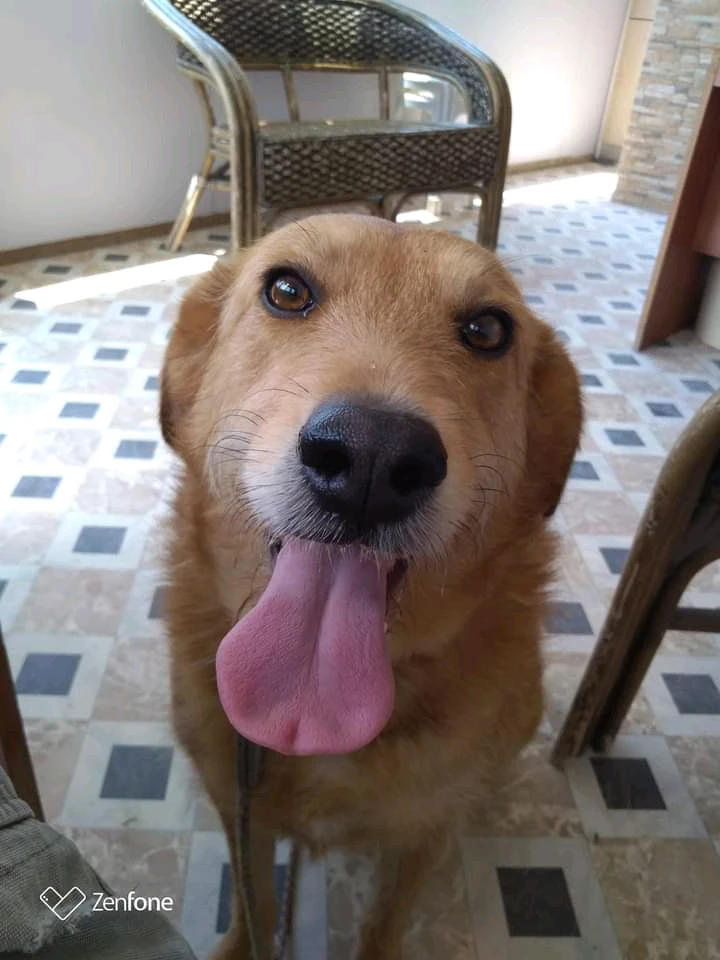 GIF ανέβηκε από Nikos