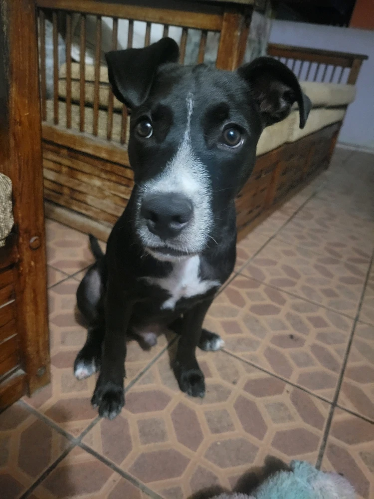 Image uploaded by Jamila