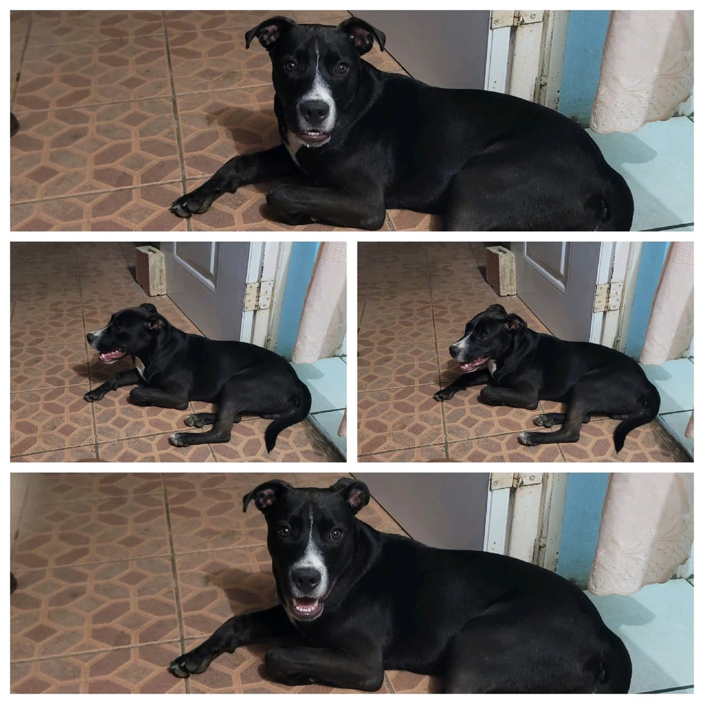 Image uploaded by Jamila