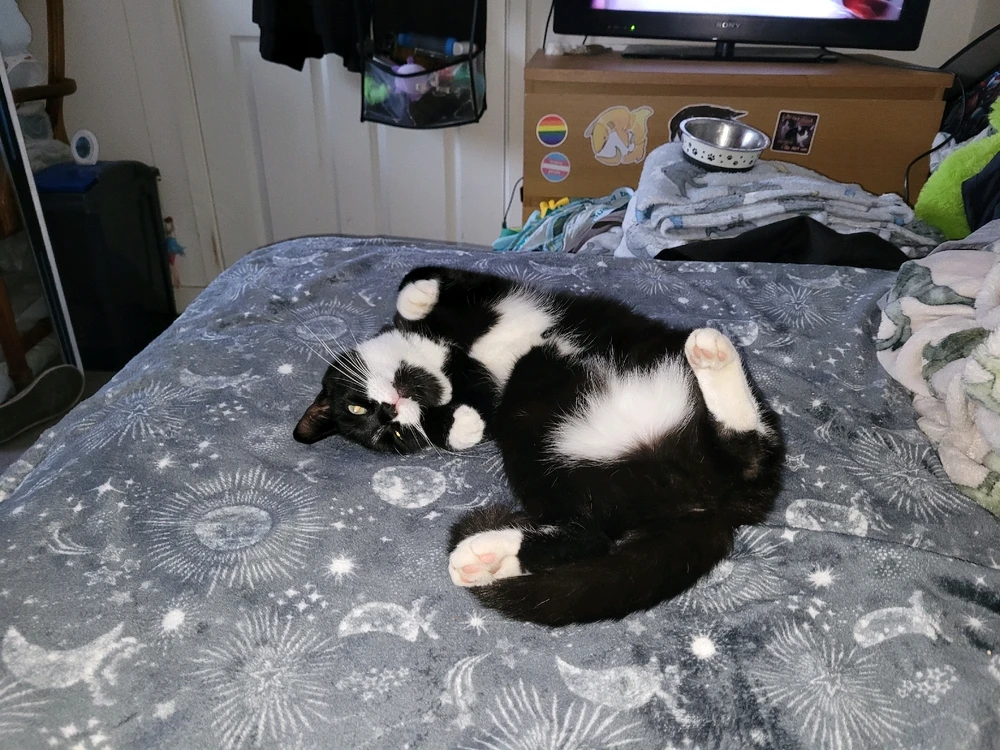 GIF uploaded by Sebastian