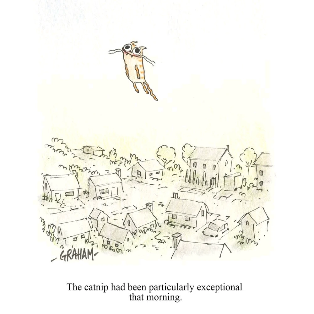GIF uploaded by Marlana