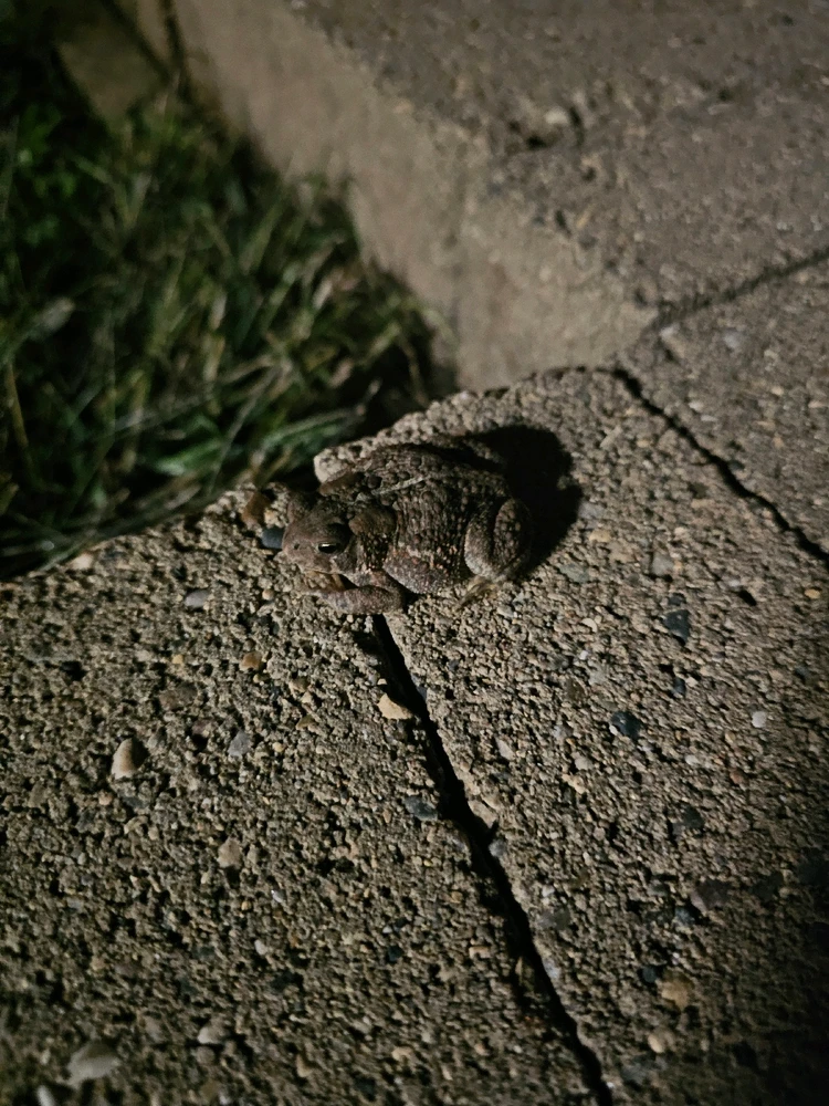 Image uploaded by Lovely