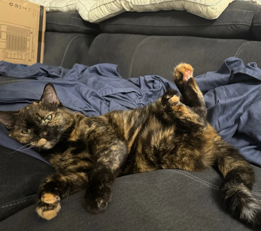 GIF uploaded by Adnan