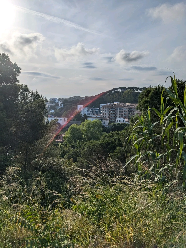 A hotel and other buildings.