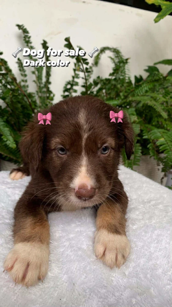 Image uploaded by Susan