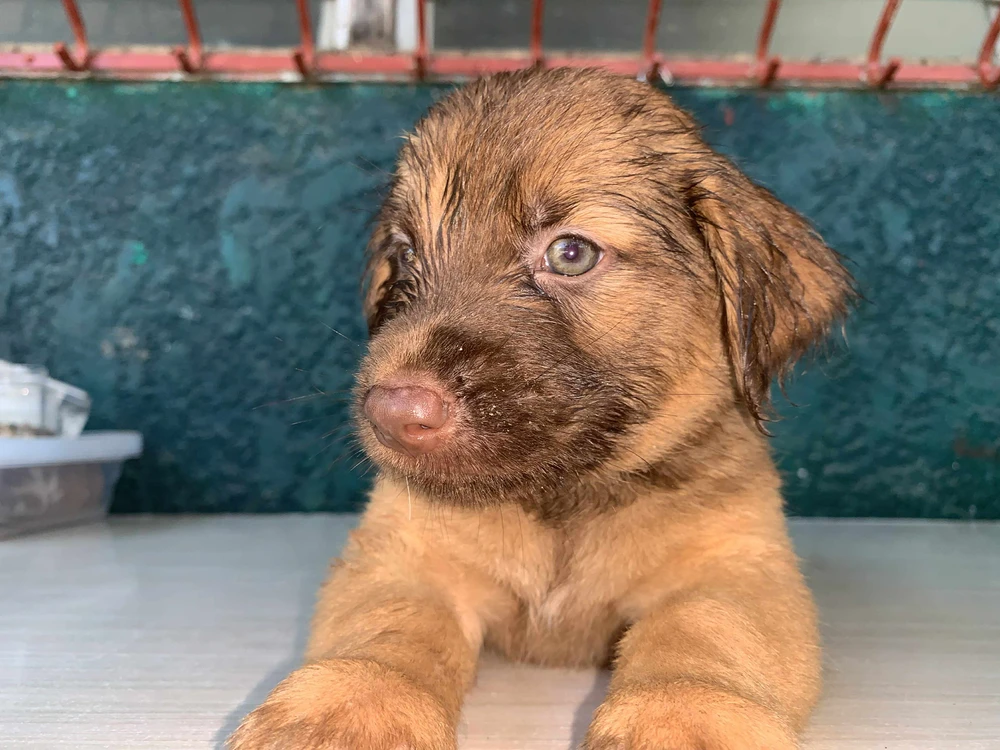 Image uploaded by Susan