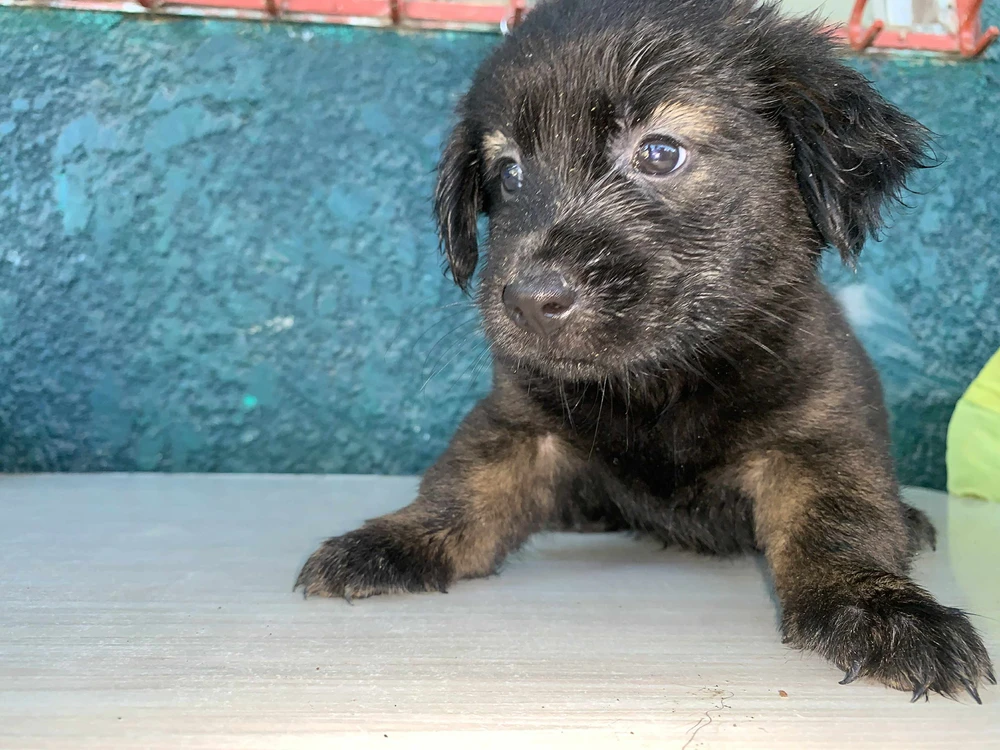 Image uploaded by Susan