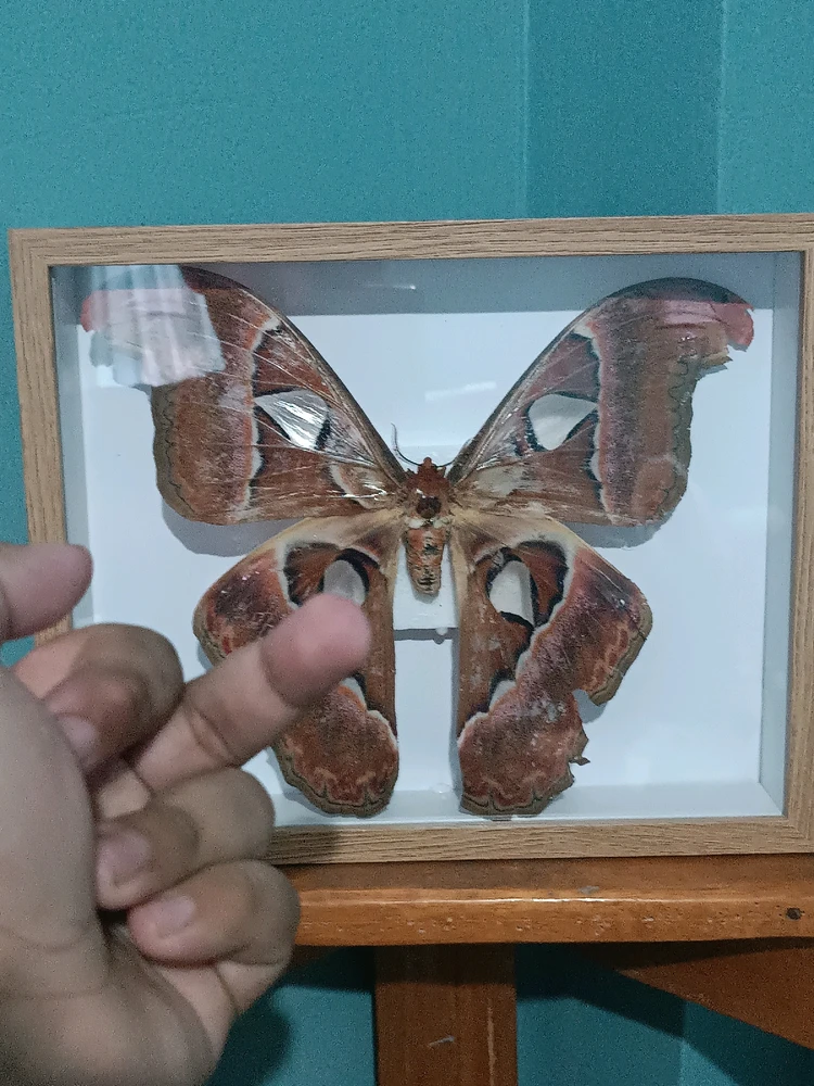 GIF uploaded by Gerard