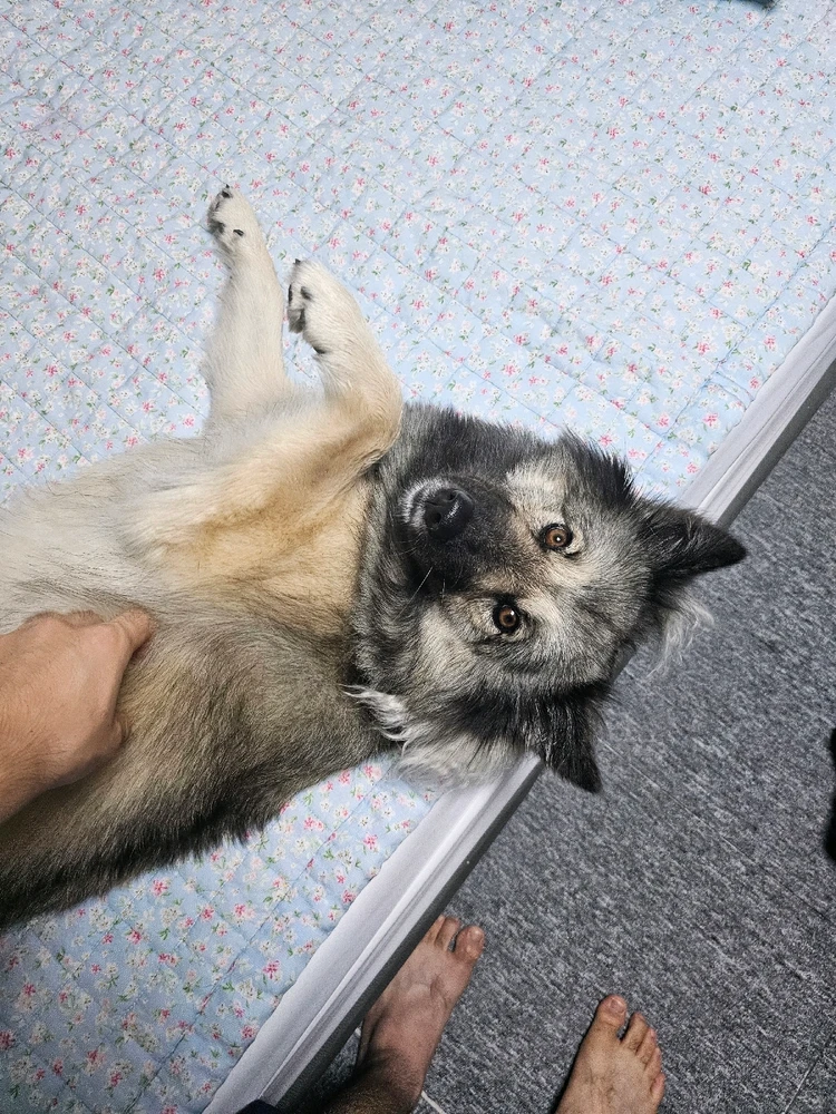 Чой님이 올린 사진