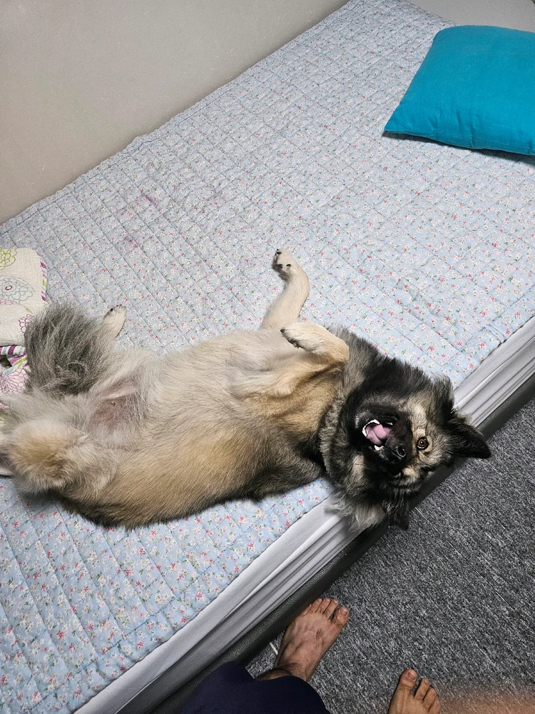 Чой님이 올린 사진