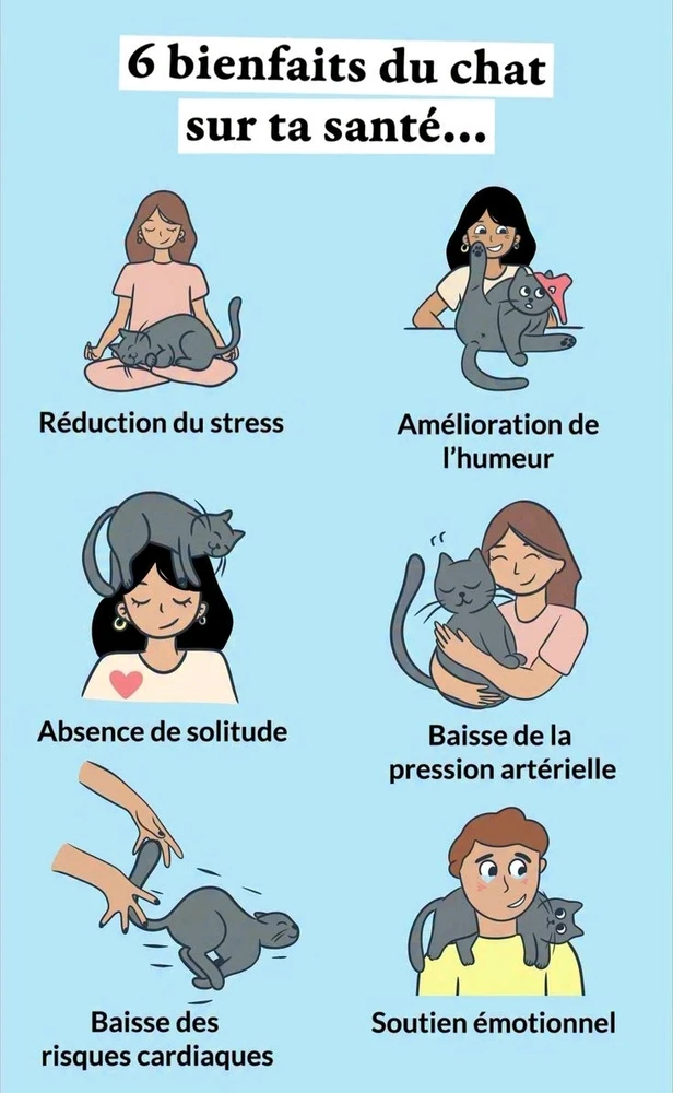 GIF ajouté par Frédérique