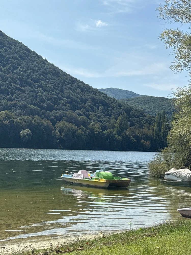 GIF caricata da Yasur