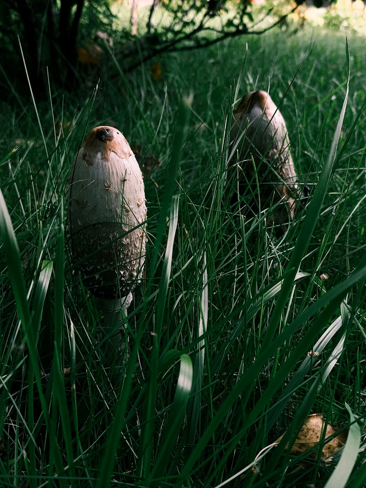 Фото загрузил Юлия