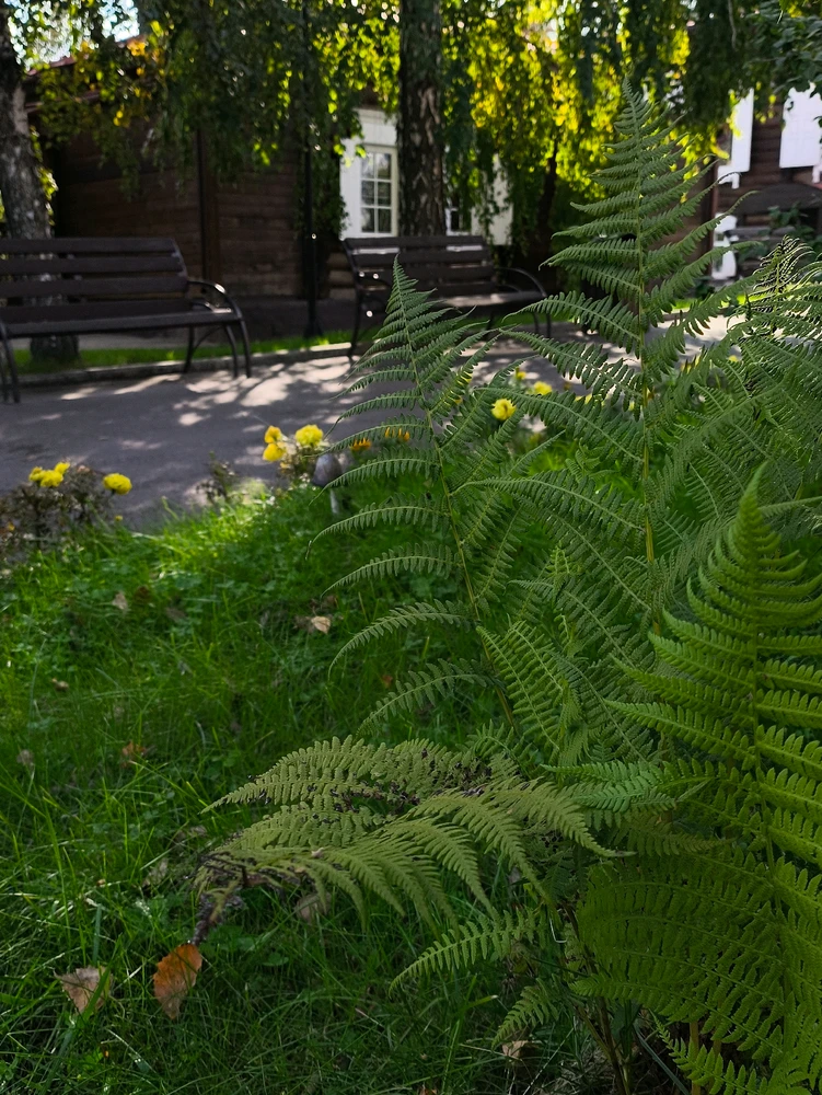 Фото загрузил Юлия