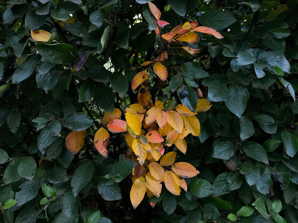 Фото загрузил Юлия