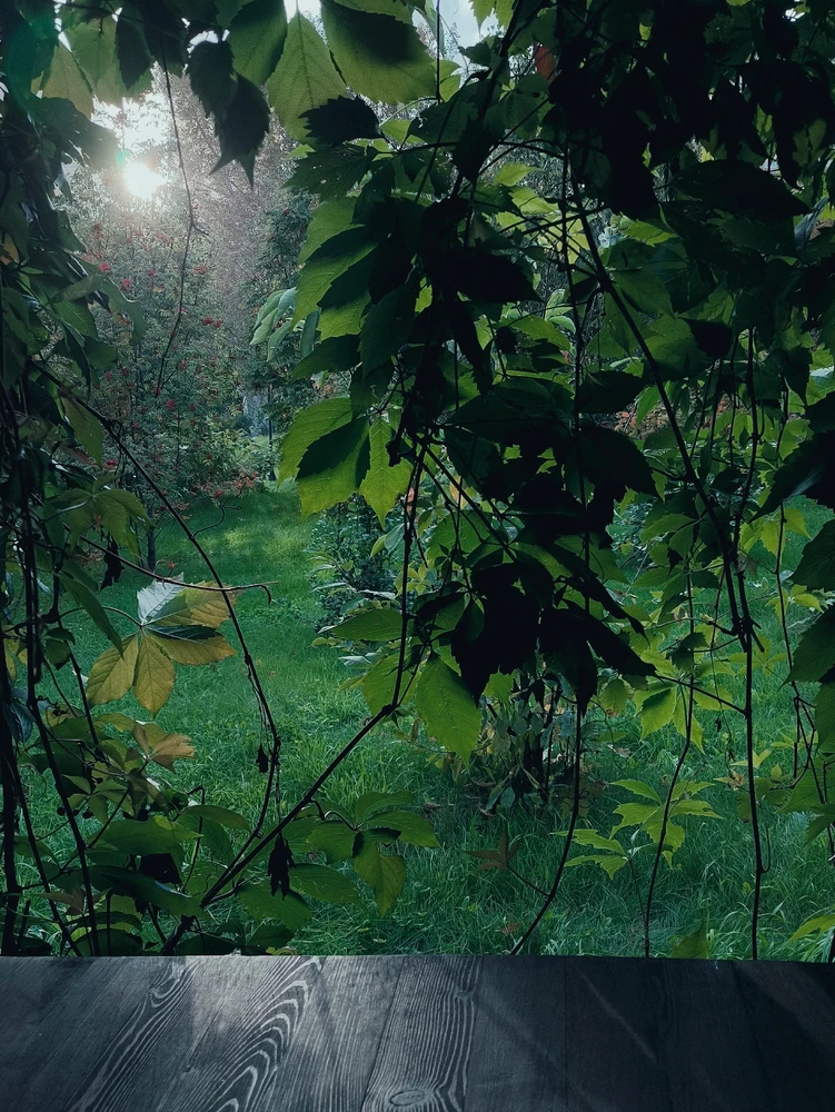 Фото загрузил Юлия