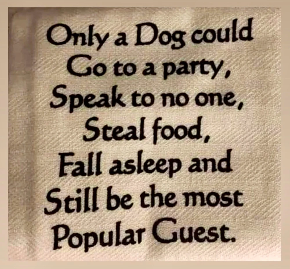 GIF dodany przez agni