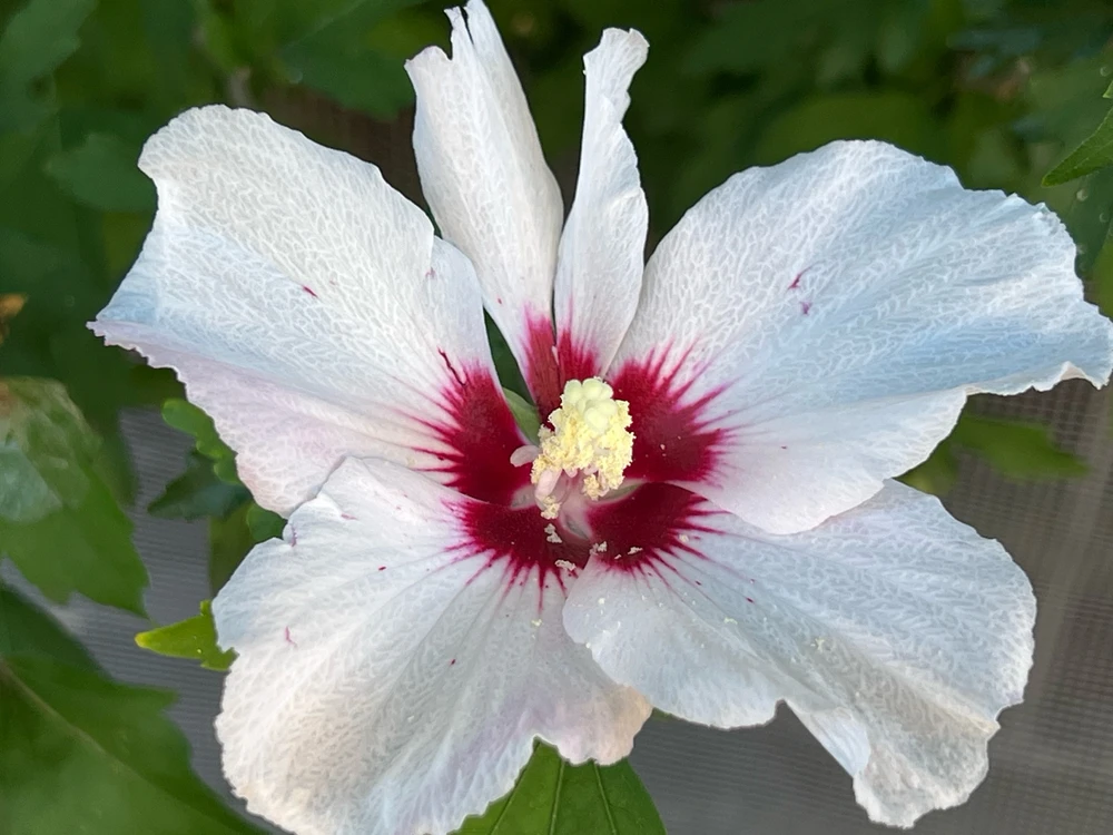 Debora님이 올린 GIF