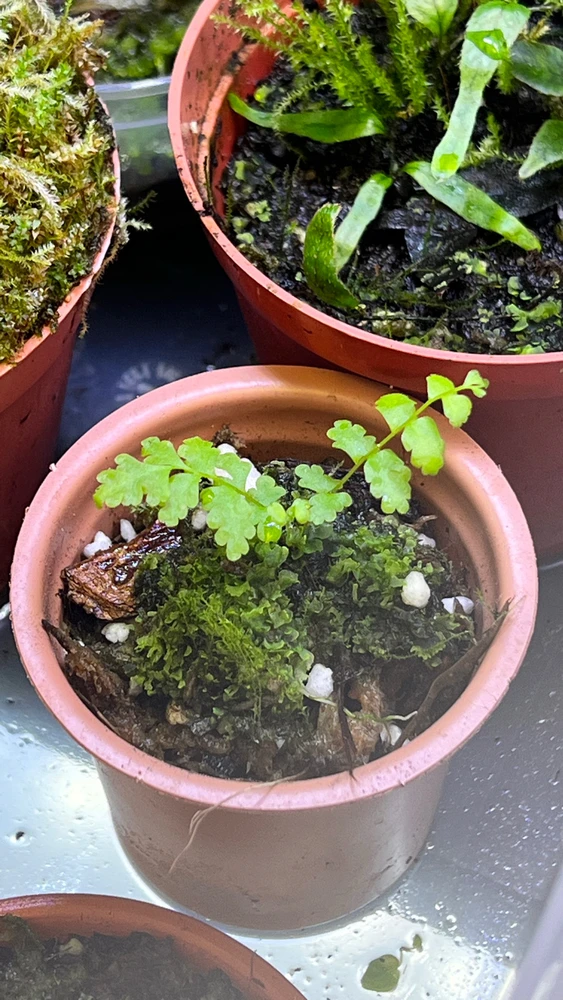 This is what I specialize in