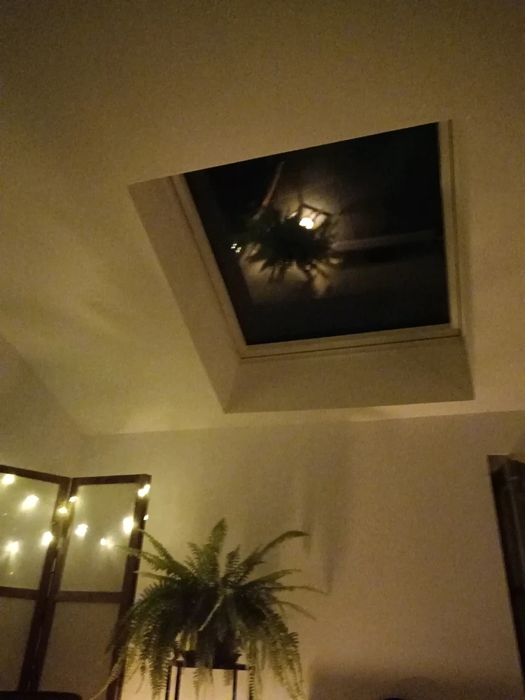 Image ajoutée par Saffiya