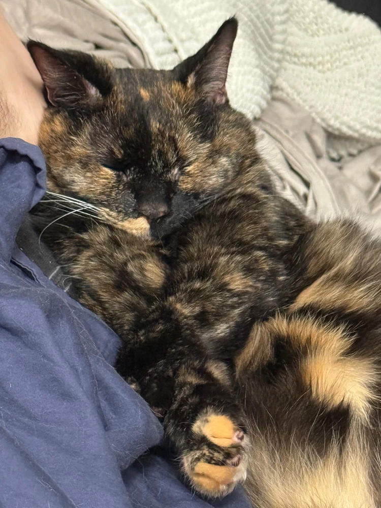 GIF uploaded by Adnan