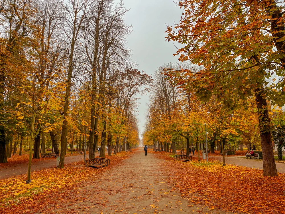 GIF na in-upload ni Bogdan