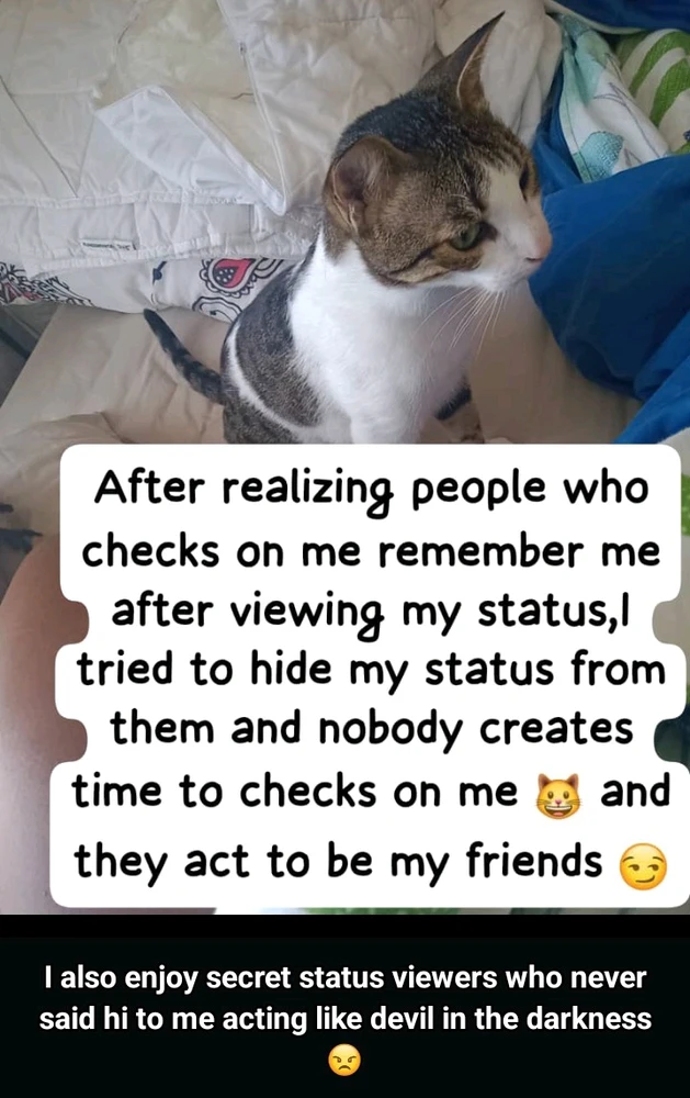 GIF uploaded by Daiz