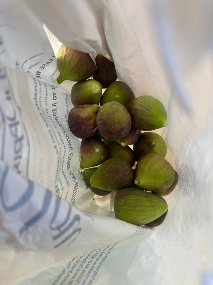 GIF uploaded by Frank