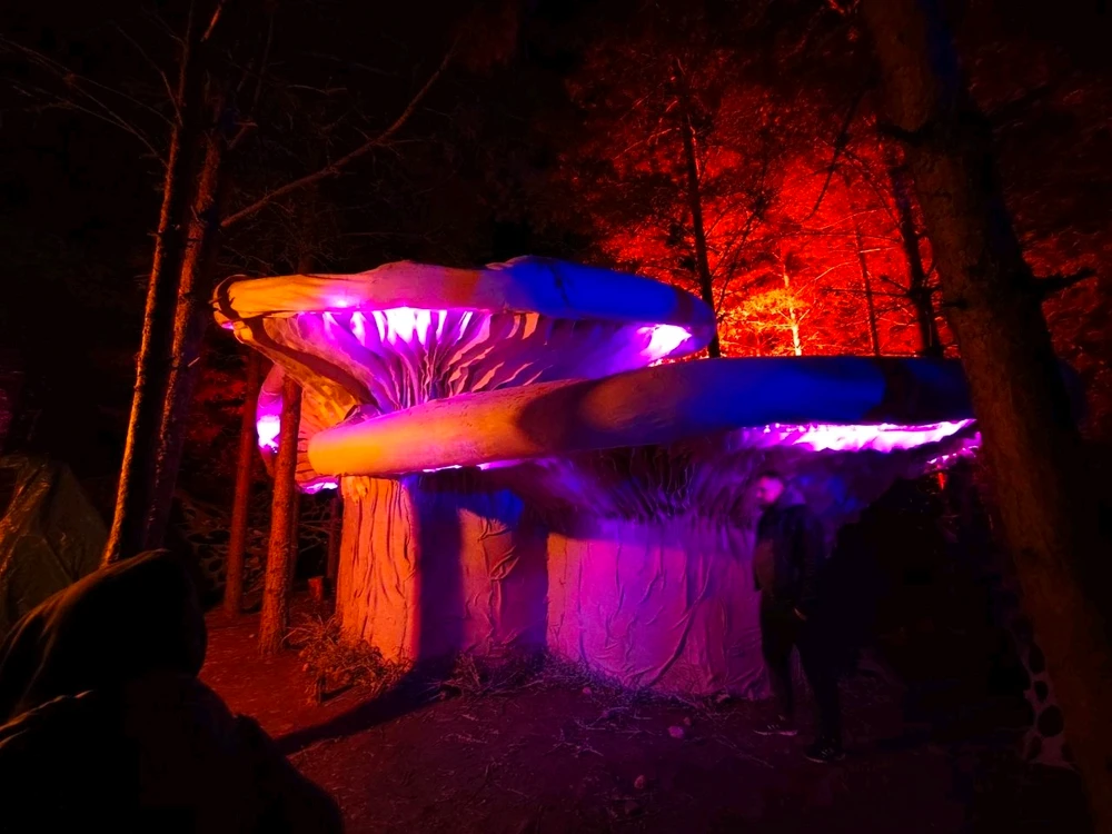 Фото загрузил Alexey