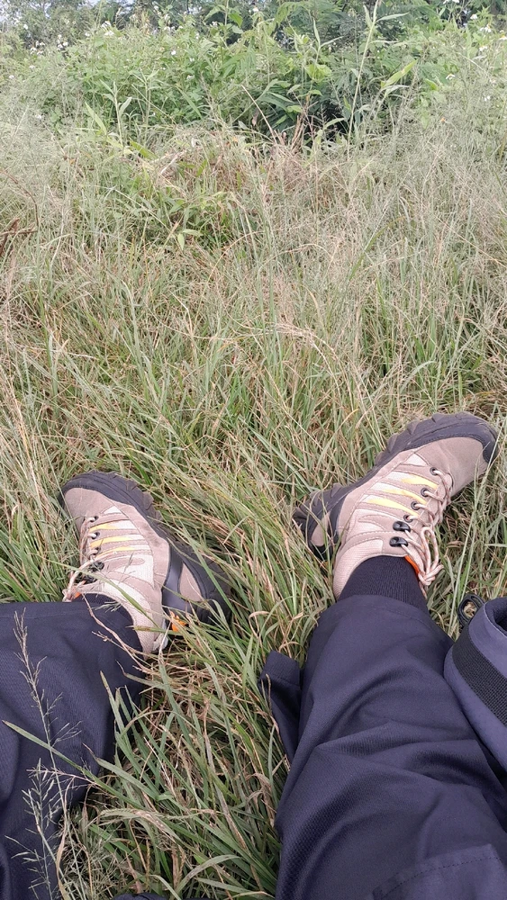 GIF diunggah oleh Iva