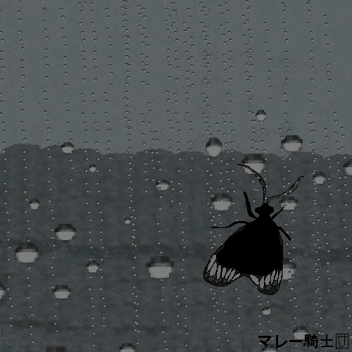 GIF diunggah oleh Ali Usman