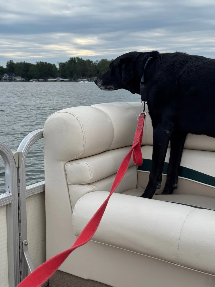 Image uploaded by Michael