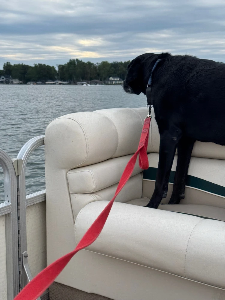 Image uploaded by Michael