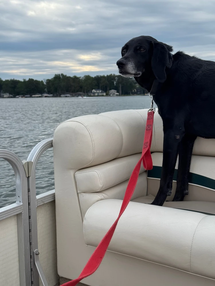 Image uploaded by Michael