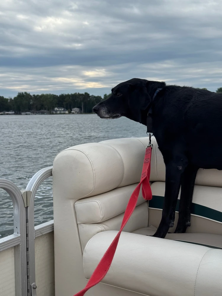 Image uploaded by Michael