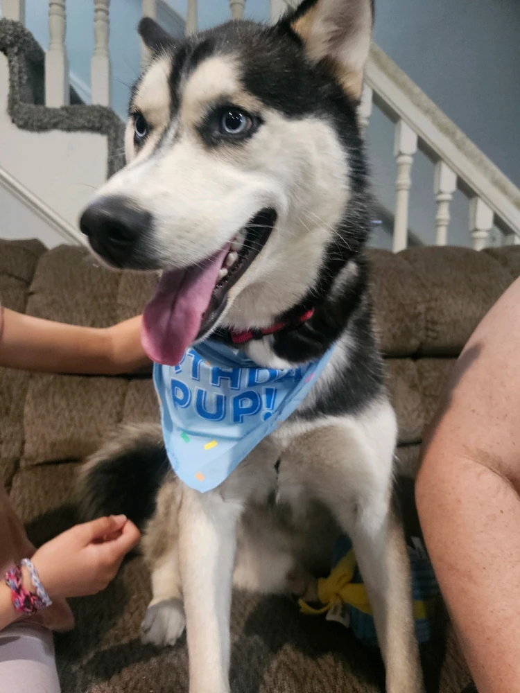 Image uploaded by Christie