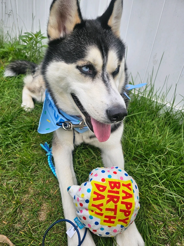 Image uploaded by Christie