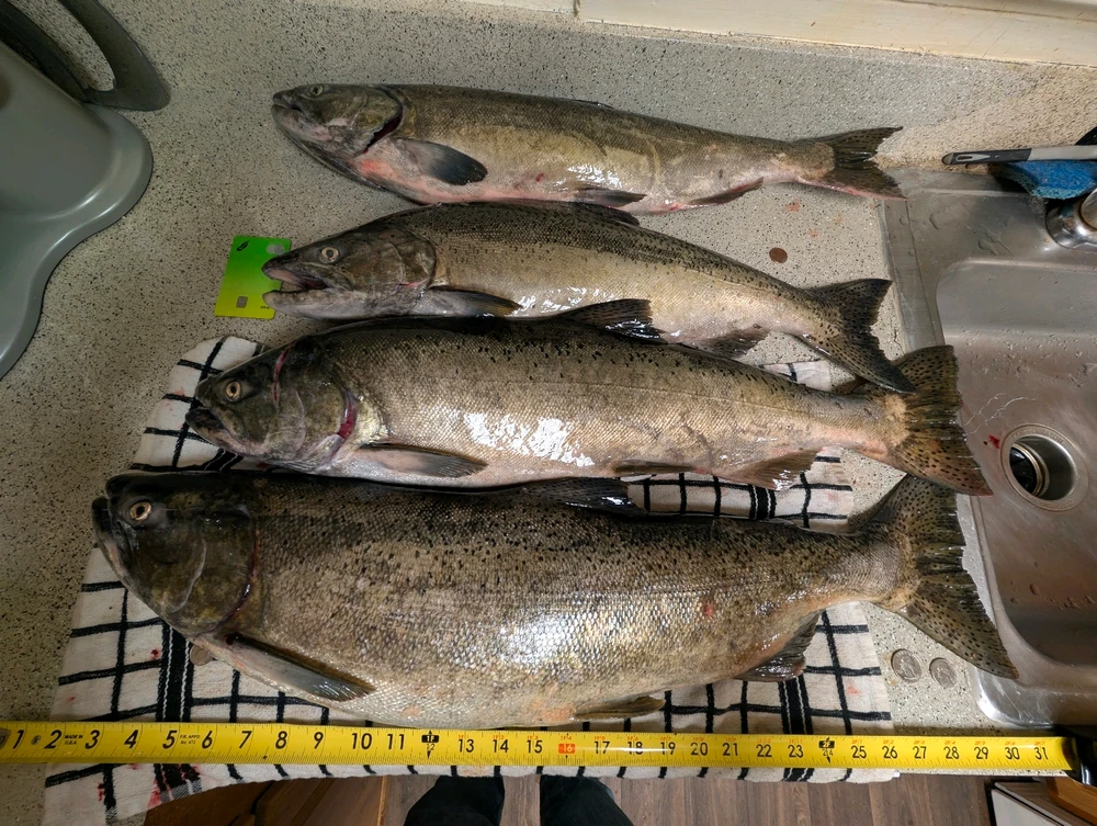 Image uploaded by 🇺🇲Daniel Fisk Bennett