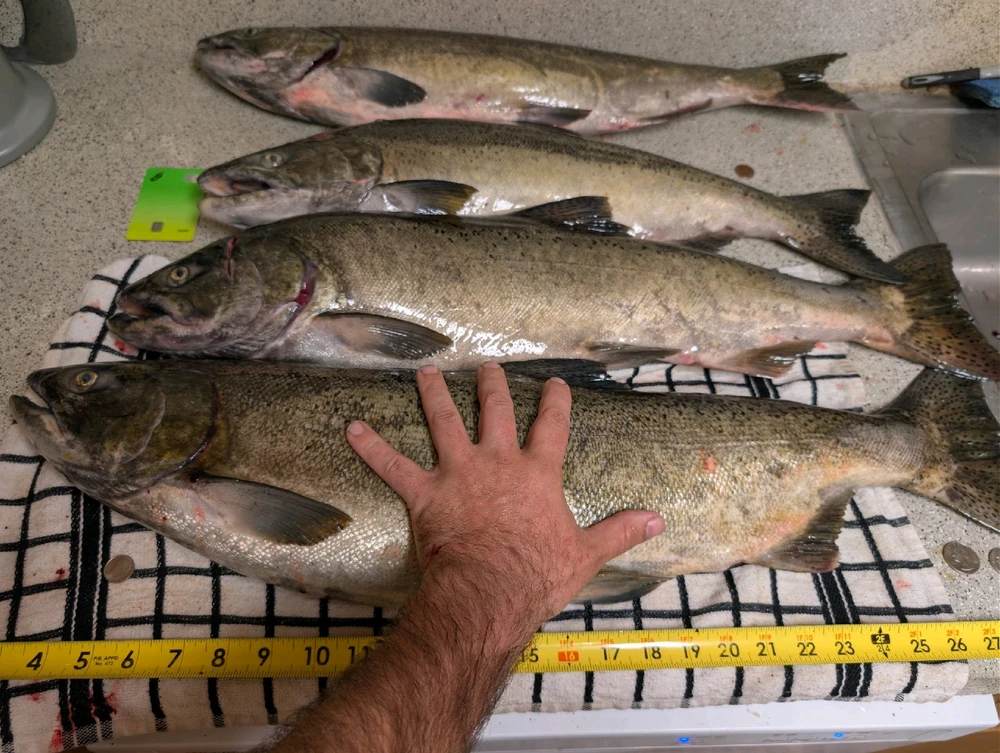 Image uploaded by 🇺🇲Daniel Fisk Bennett