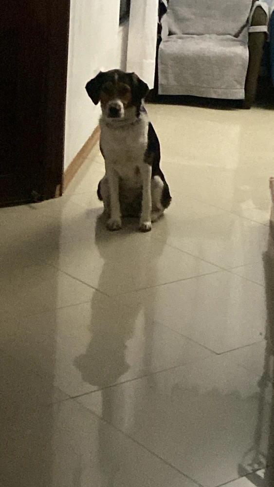 Imagen subida por Javii