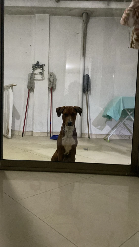 Imagen subida por Javii