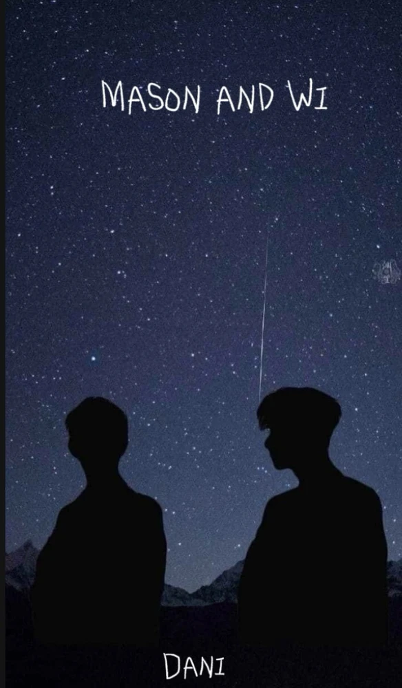 the limited edition cover 💙