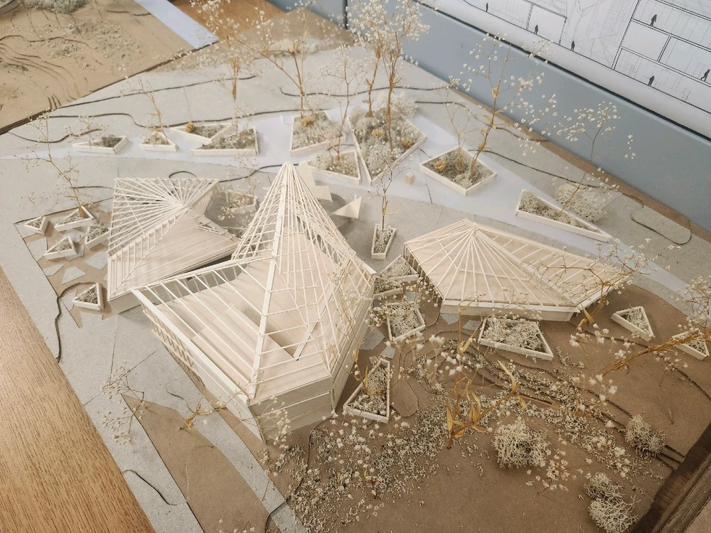 Image uploaded by Kim