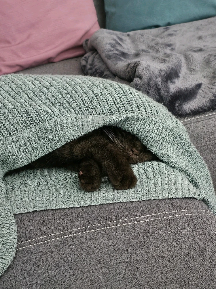 GIF hochgeladen von Jessïca