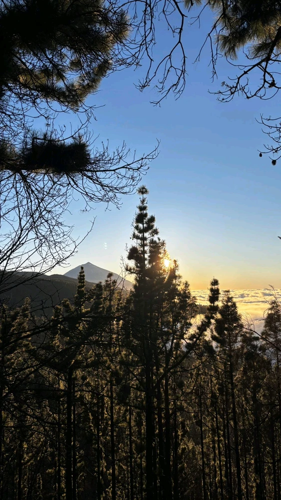 Imagen subida por Liliana